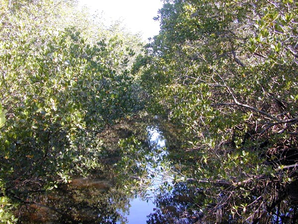 Through the Ponce de Leon Inlet